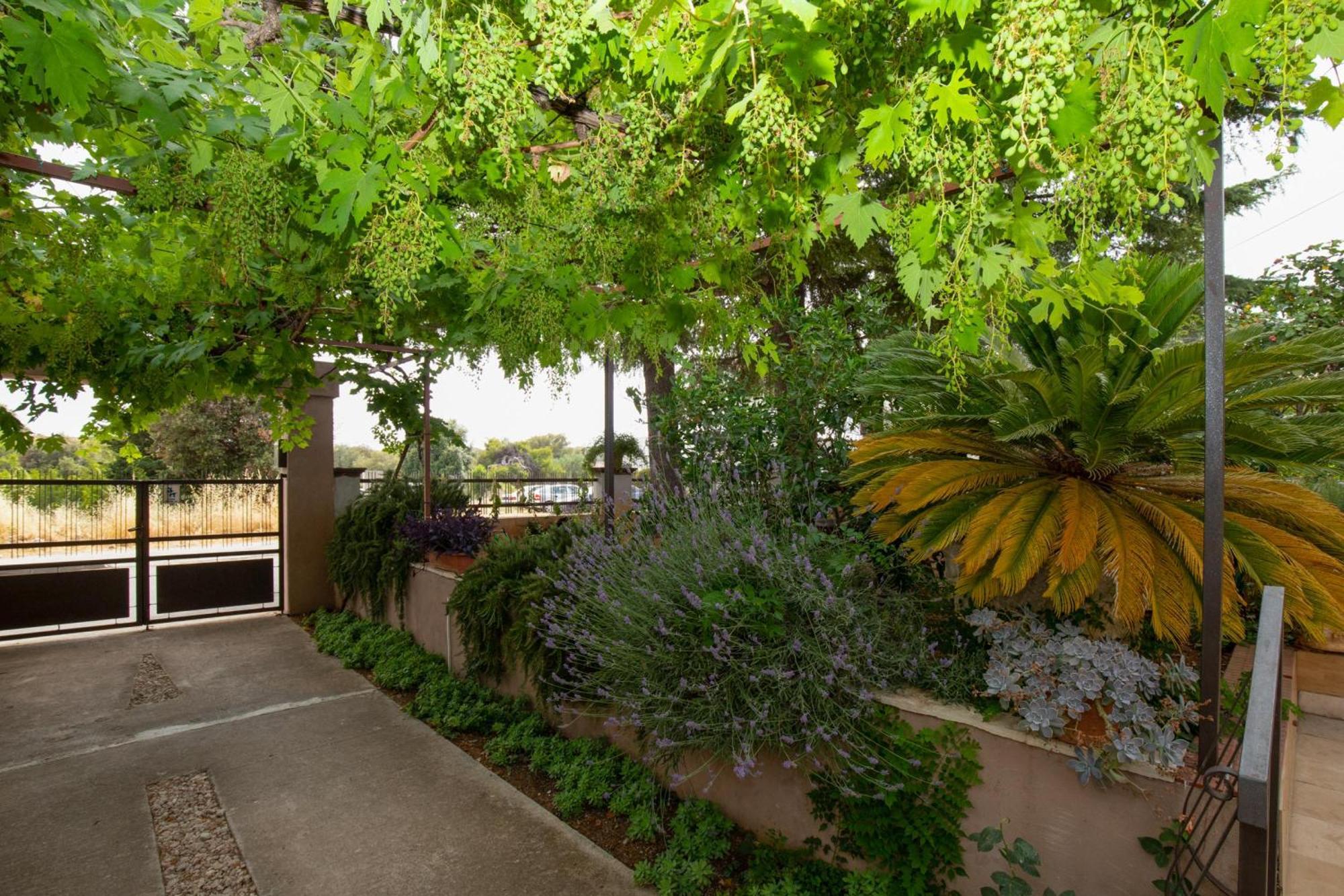 Pool Apartment Bakija 2 - Happy Rentals Pakoštane 外观 照片